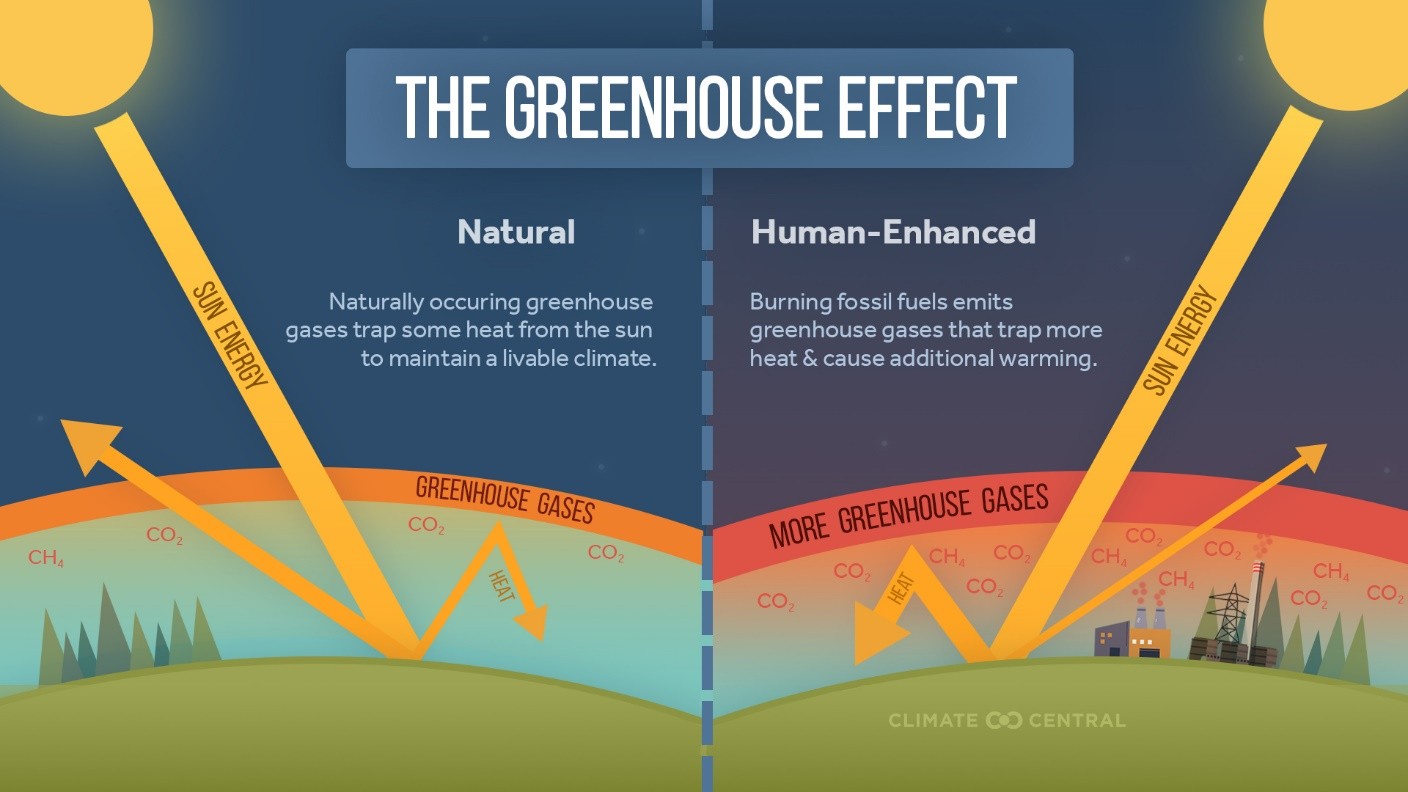 Infographic showing the earth’s natural greenhouse effect and human-enhanced greenhouse effect. The natural effect shows a small amount of heat from the sun trapped in the atmosphere and a larger amount reflected back to space, and the human-enhanced effect shows the opposite.