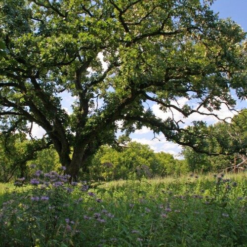 Severson Dells, Forest Preserves of Winnebago County, Rockford, IL