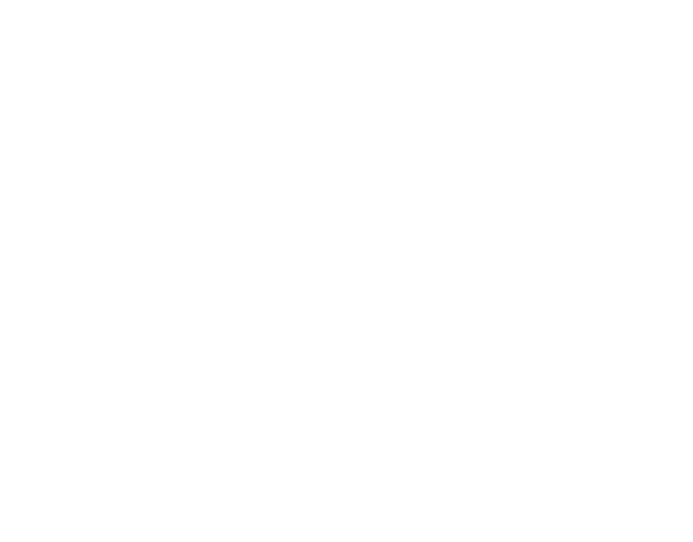 Logo: Illinois APEX Accelerator
