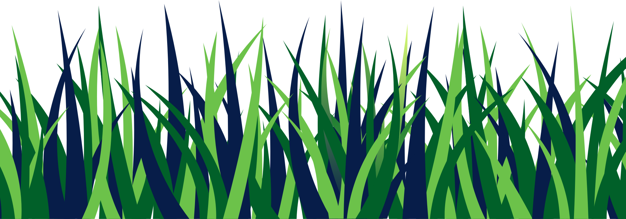 Grass