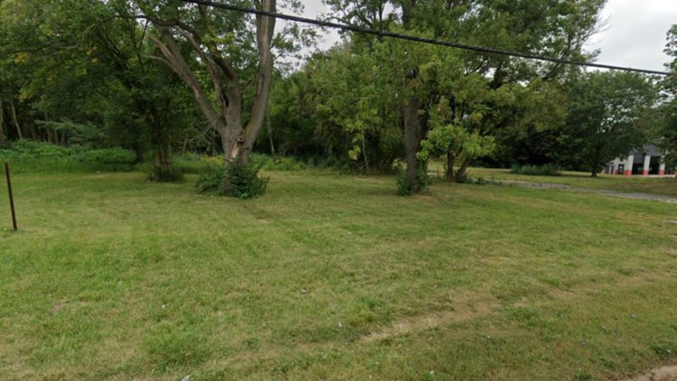 green open lot with several trees