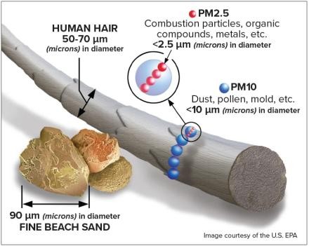 A zoomed in strand of human hair (50-70 microns) showing size comparison between fine beach sand (90 microns), PM2.5 (less than 2.5 microns) and PM10 (less than 10 microns). PM2.5 includes combustion particles, organic compounds, and metals while PM10 includes dust, pollen, and mold.